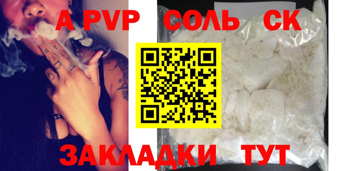 A PVP СК КРИС Петропавловск-Камчатский