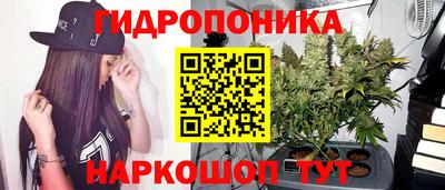 гашишное масло Будённовск