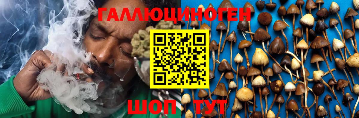 Петропавловск-Камчатский  Псилоцибиновые грибы Magic Shrooms  продажа наркотиков  Вход с VPN  Галлюциногенные грибы прущие грибы 